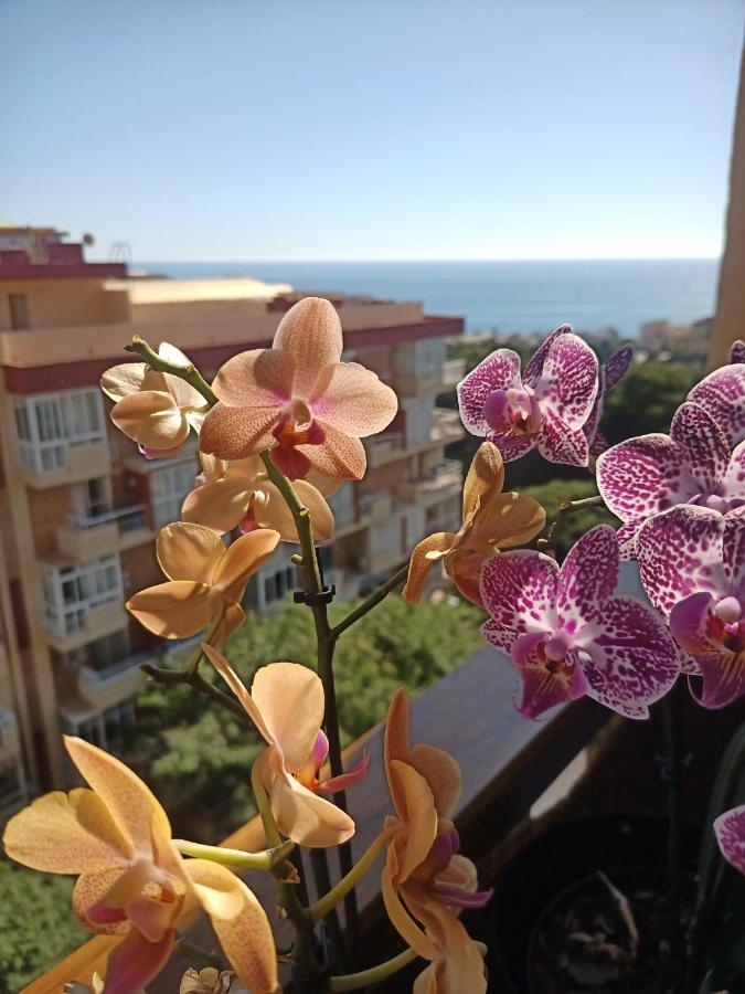Sweet Home Benalmadena, Estudio Con Vistas Al Mar Y Excelente Conexion Wifi, Para No Fumadores, Con Piscinas, Sea Views, With Swimming Pools, Completely Renovated, Ideal For Older People, Bright With Morning Sun, No Smoking Zewnętrze zdjęcie